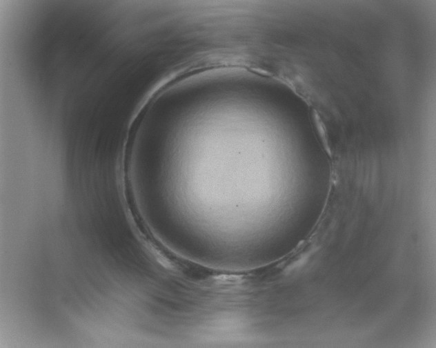 X0000070230052200606091727