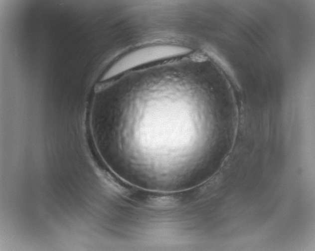 X0000070230058200606091728