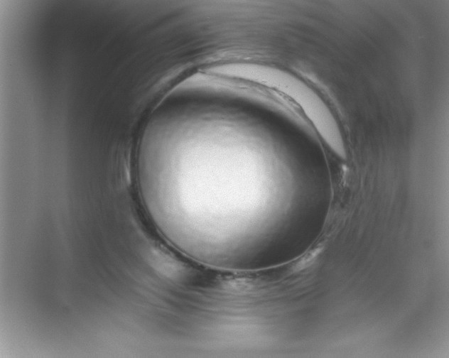 X0000070230062200606091728
