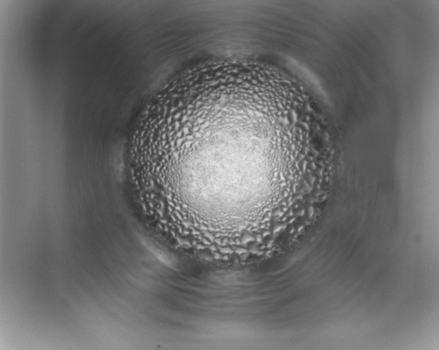 X0000070230065200606091728