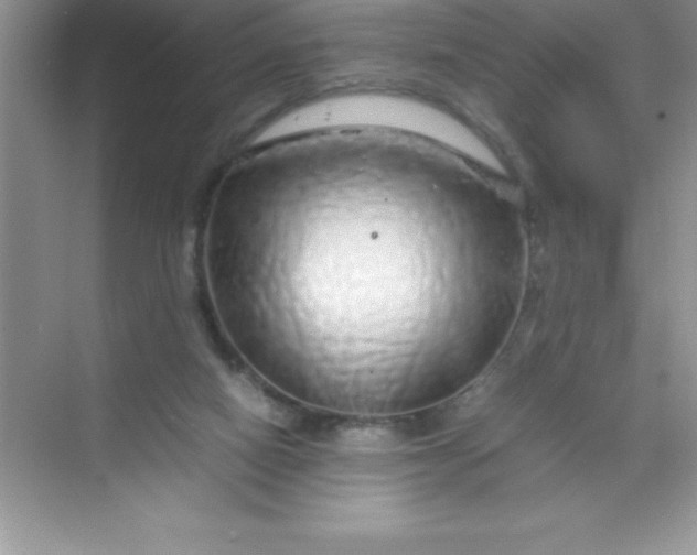 X0000070230066200606091728