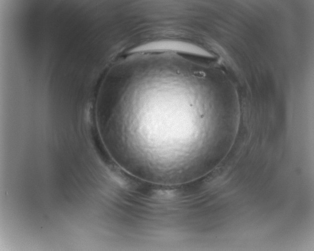 X0000070230071200606091728
