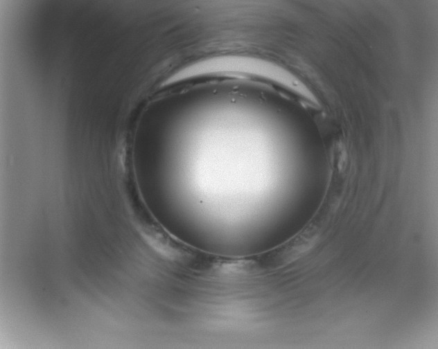 X0000070230072200606091728