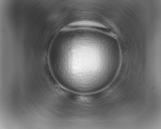 X0000070230073200606091728