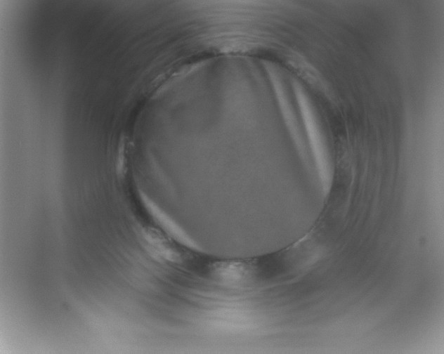 X0000070230074200606091728
