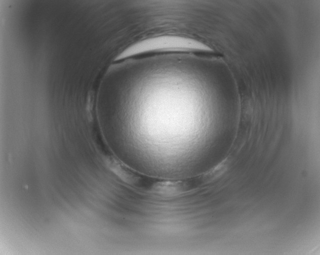 X0000070230082200606091728