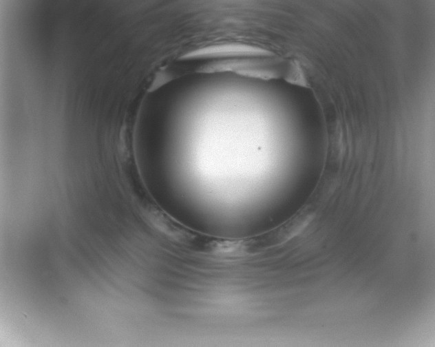 X0000070230088200606091728