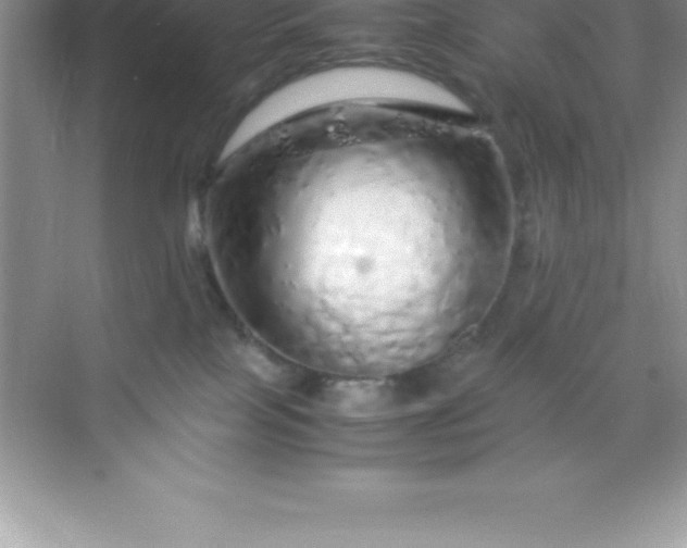 X0000070230089200606091728