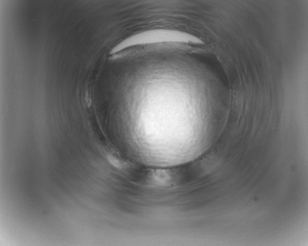 X0000070230091200606091728