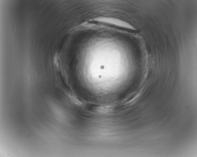 X0000070230094200606091728