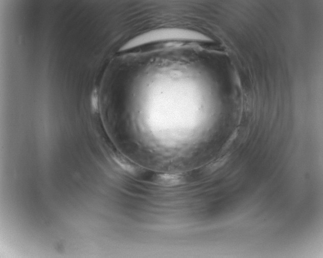 X0000070230095200606091728