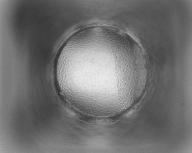 X0000070230103200606091727
