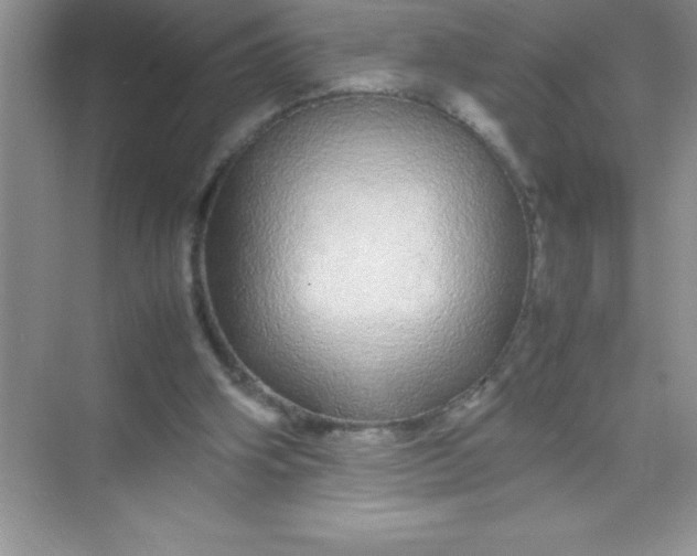 X0000070230106200606091727