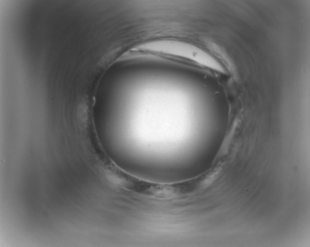 X0000070230113200606091727