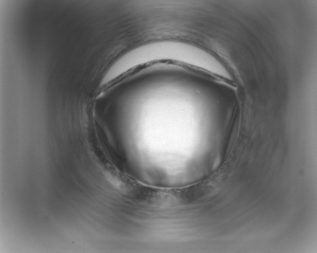 X0000070230114200606091727