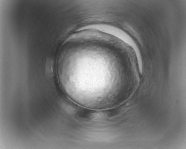 X0000070230115200606091727