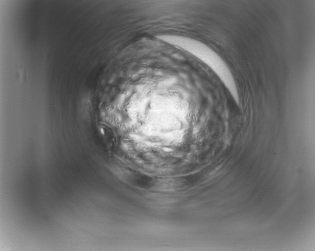 X0000070230127200606091727