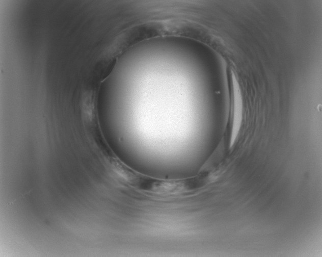 X0000070230129200606091727