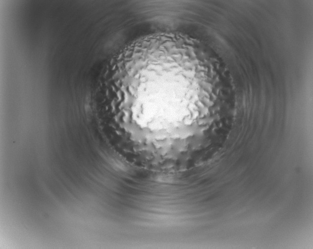 X0000070230134200606091727
