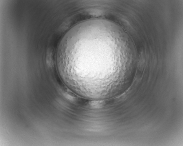 X0000070230136200606091727