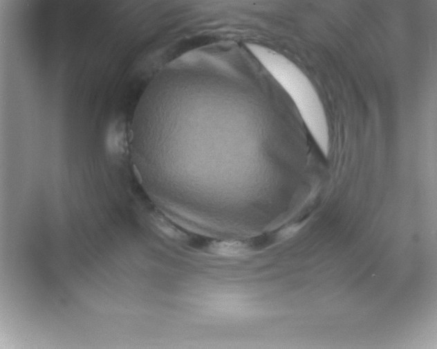 X0000070230137200606091727