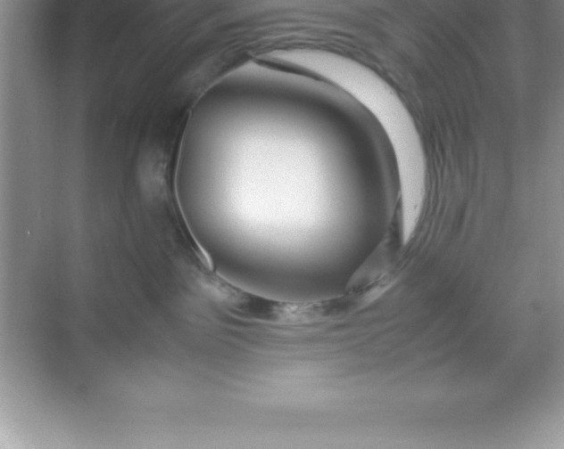X0000070230141200606091727