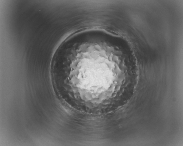 X0000070230147200606091726