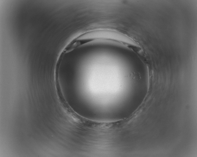 X0000070230148200606091726