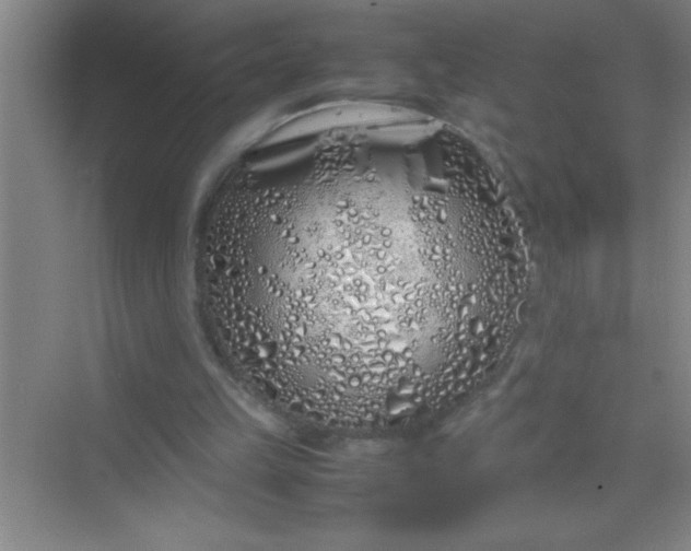 X0000070230149200606091726