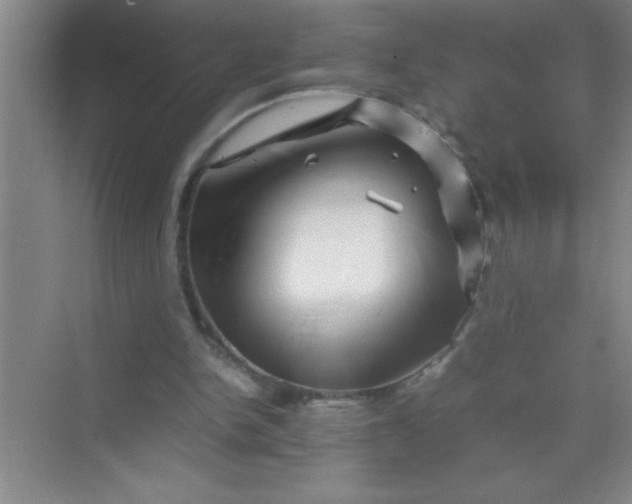 X0000070230150200606091726