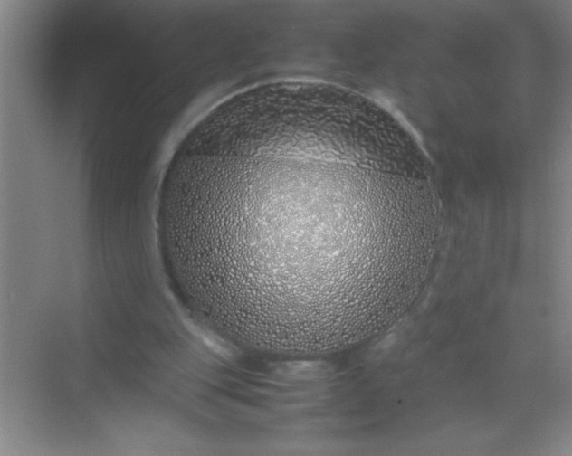 X0000070230151200606091726