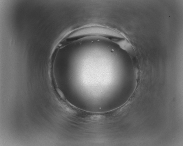 X0000070230152200606091726