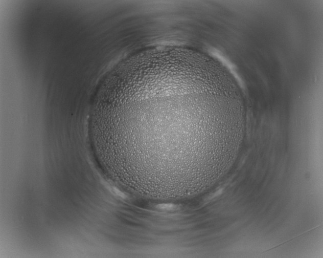 X0000070230153200606091726