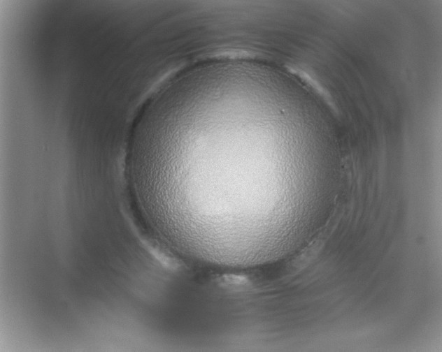 X0000070230159200606091726