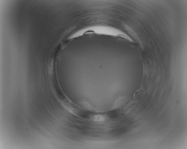 X0000070230163200606091726