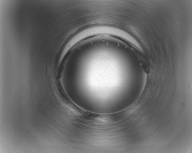 X0000070230164200606091726