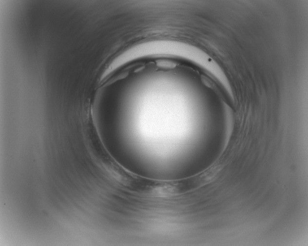 X0000070230168200606091726