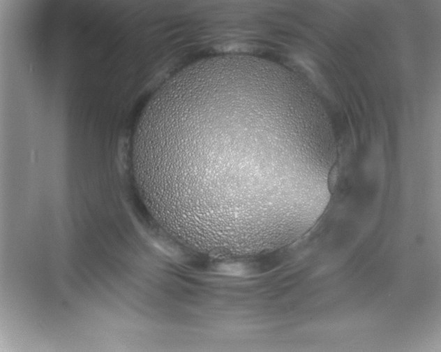 X0000070230171200606091726