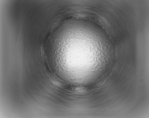 X0000070230173200606091726