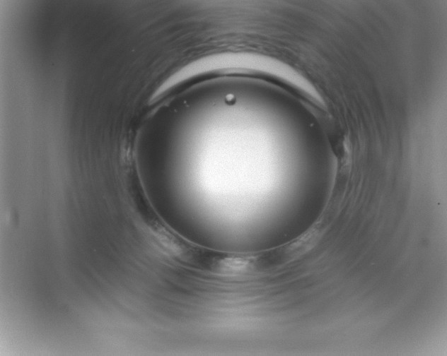 X0000070230176200606091726