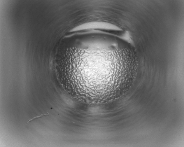 X0000070230177200606091726