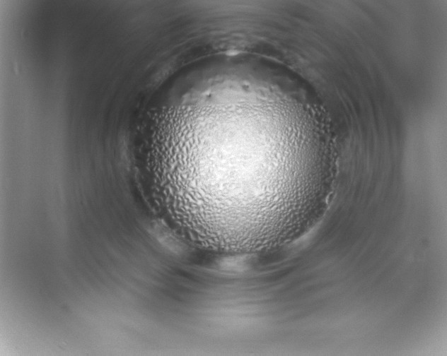 X0000070230178200606091726