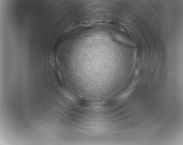 X0000070230182200606091726