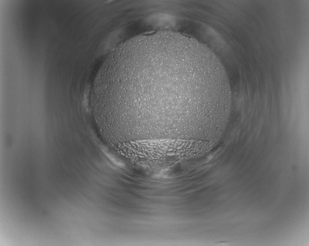 X0000070230185200606091726