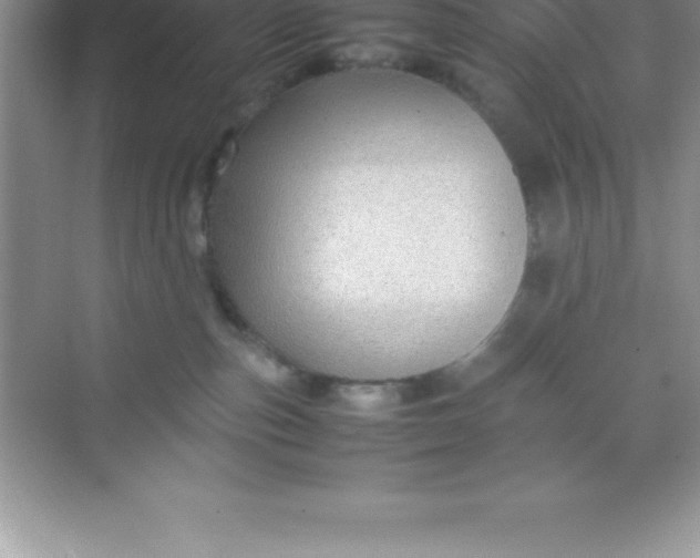 X0000070230187200606091726