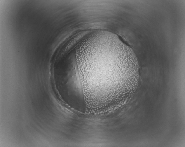 X0000070230194200606091726