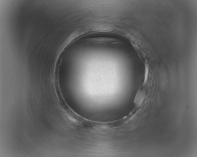 X0000070230195200606091726