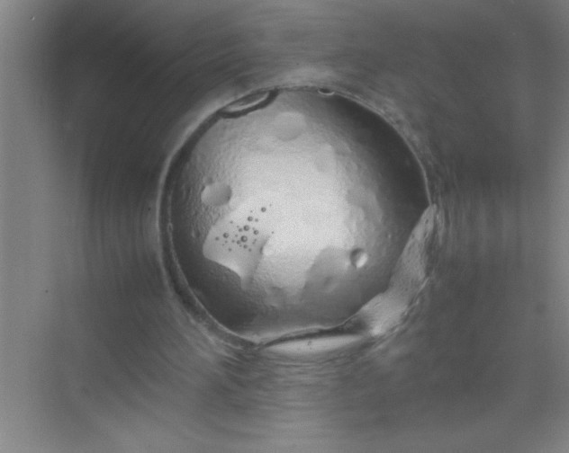 X0000070230196200606091726