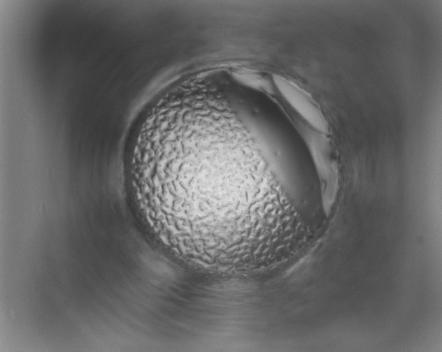 X0000070230198200606091726