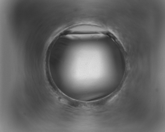 X0000070230199200606091726